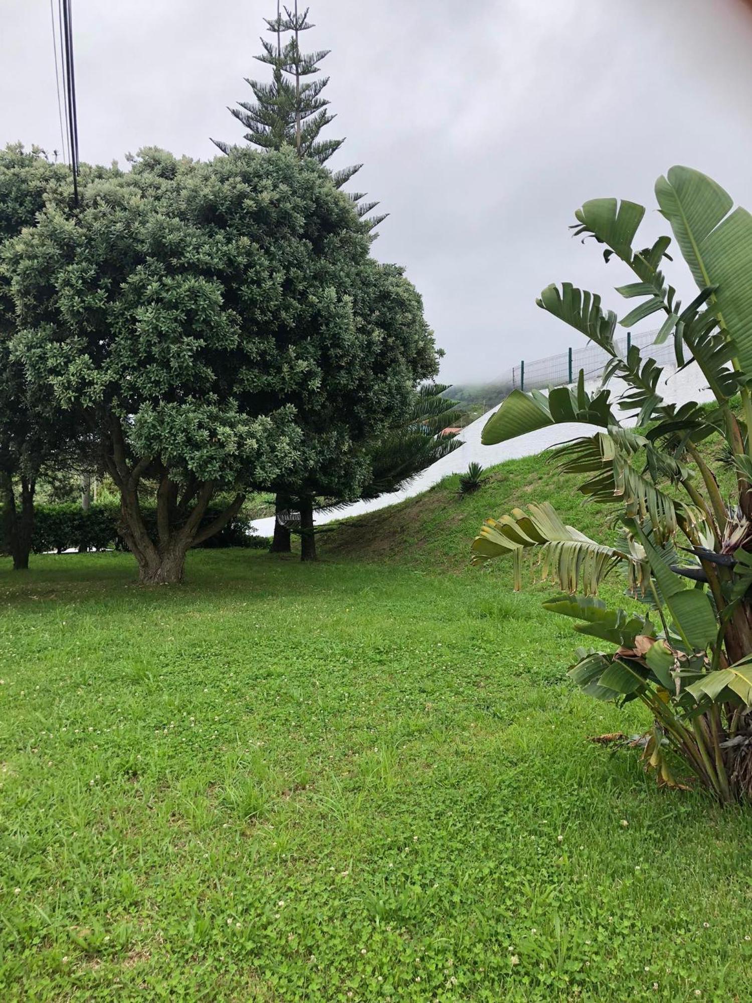 Vivenda Flor Villa Ponta Delgada Dış mekan fotoğraf