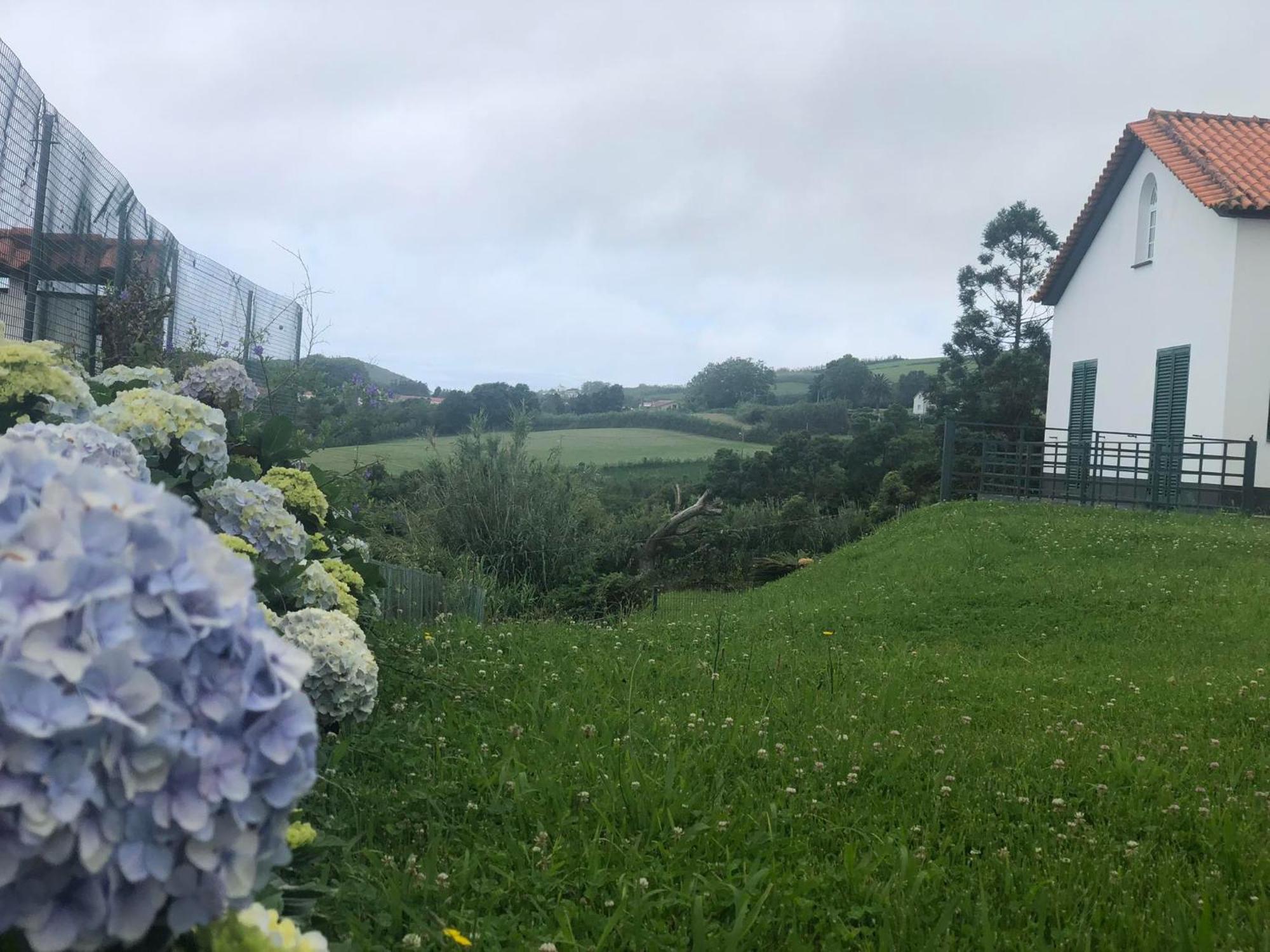 Vivenda Flor Villa Ponta Delgada Dış mekan fotoğraf