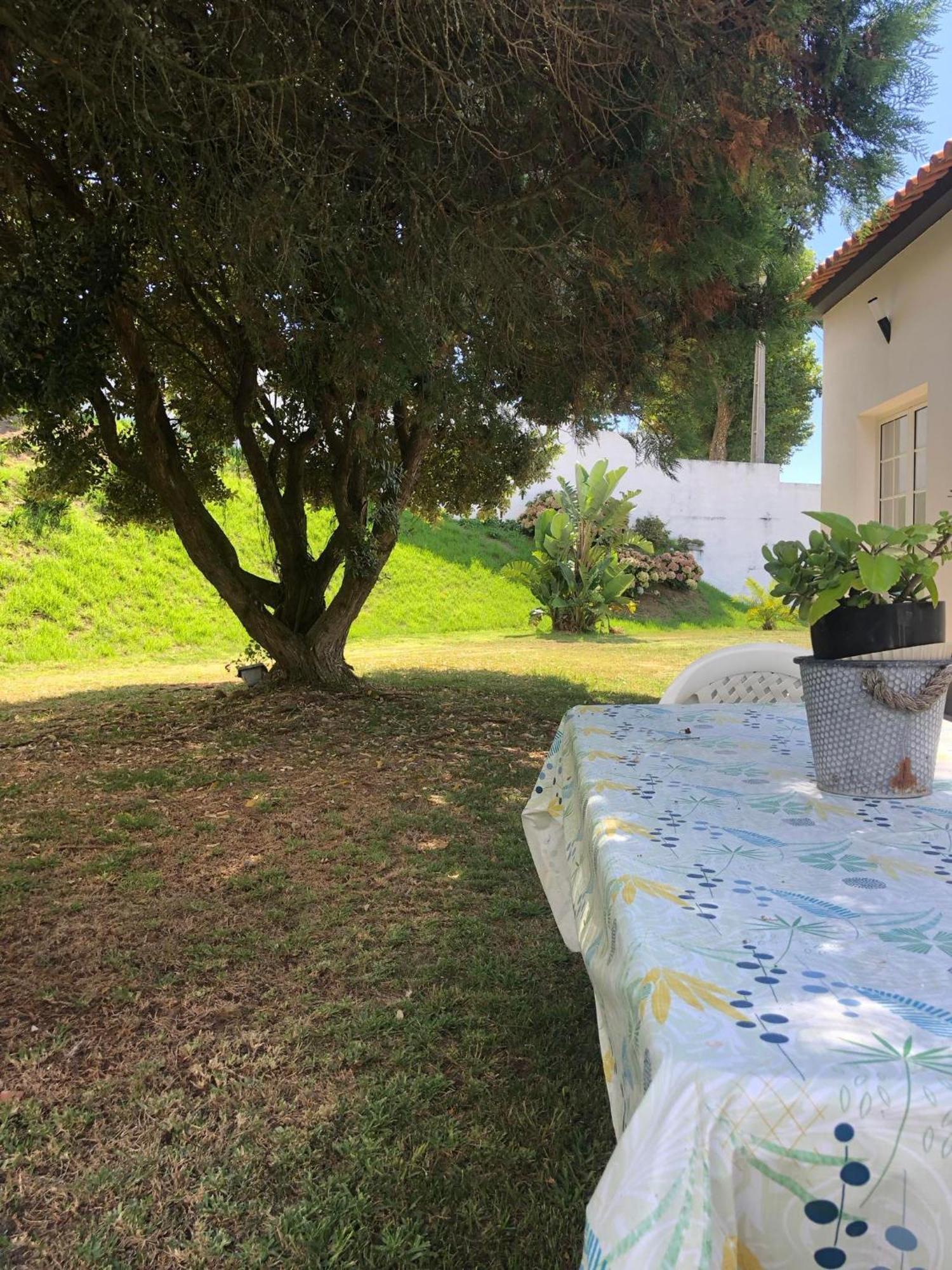Vivenda Flor Villa Ponta Delgada Dış mekan fotoğraf