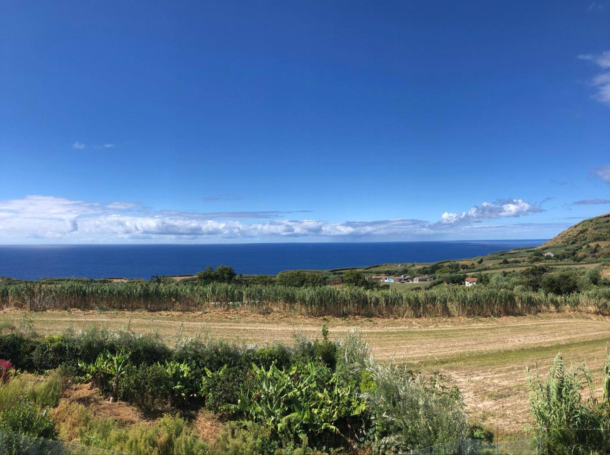 Vivenda Flor Villa Ponta Delgada Dış mekan fotoğraf